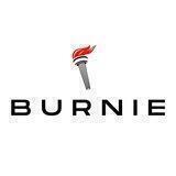 BurnieToken $BURNIE