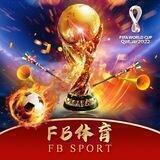 FB体育⚽