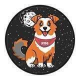 MetaVerse Dog Army