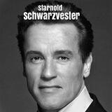 Starnold Schwarzvester | Portal