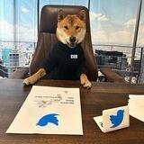 Floki CEO