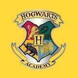 Hogwarts Academy