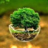 🎯 All Agriculture NOTES 📚& PDF🗂 🎯