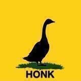 MÚSICAS DO PATO 🦆