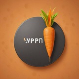 هویج VPN