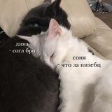 мы ахн ок да спасибо пока