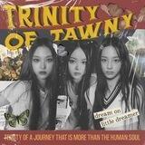 Trinity Of Tawny.