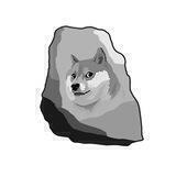 DogeRock