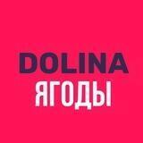 DOLINA. Ягоды