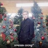пруфы от элиз