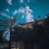 عالم التصوير ⚠︎︎