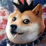 Punk Rock Doge