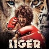 All Hindi movies