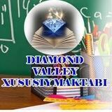 Diamond valley Xususiy maktabi