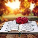 The Noble Quran