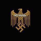 THE NS MEME