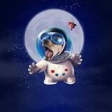 SpaceDogeMoon