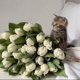 حسَره ..