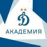 Академия «Динамо» им. Л.И. Яшина