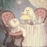 𝓑ubusb◆𝓜imiaw