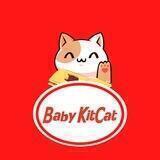 BabyKitCat 宝宝猫方法