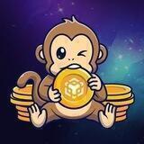 Binance Ape Station - BAPES