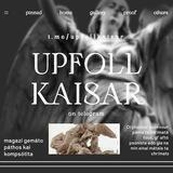 𝐔𝐏𝐅𝐎𝐋𝐋 𝐊𝐀𝐈𝐒𝐀𝐑 : TESTI