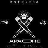 09 APACHE