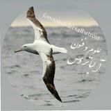 علوم و فنون آلباتروس🕊
