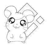 Basic Hamtaro | Burned