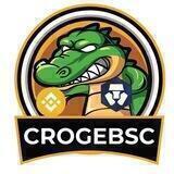 CrogeBSC Coin Official