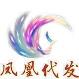 凤凰频道17