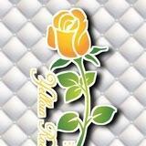 Mezonyellow.roz