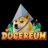 Dogereum |PORTAL