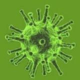 Corona Virus Informationen 2