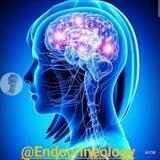 Endocrine System