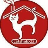 CATSHELP22 🐾