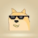 The ca is D09E(DOgE)