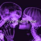 ☾ 𝒍♡𝒗𝒆 𝒅𝒊𝒅𝒏’𝒕 𝒅𝒊𝒆 ☾