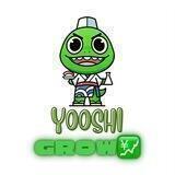 Yooshi Grow 💹 - Portal