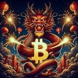 中国龙Loong中文电报社区
