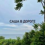Саша в дороге