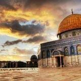 الموقع الاخباري