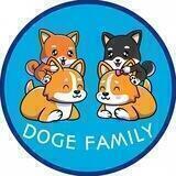 Doge Family (ETH) | PreVerify