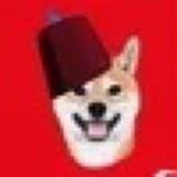 Turk Shiba