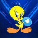 TweetBird Official
