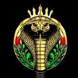 VIPER KING TOKEN OFFICIAL 🐍👑