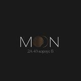 Женская Одежда Moon Shop 2А-43 К Б