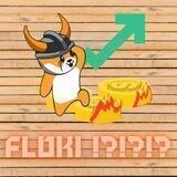 FLOKI !?!?!? (DONT FORGET !?!?!?) BSC