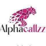 AlphaLowcaps {高风险高回报}